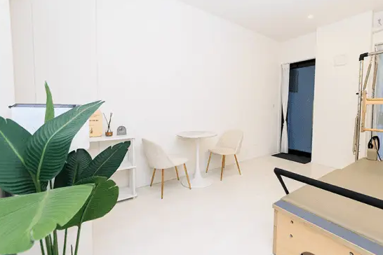 STUDIO IVY